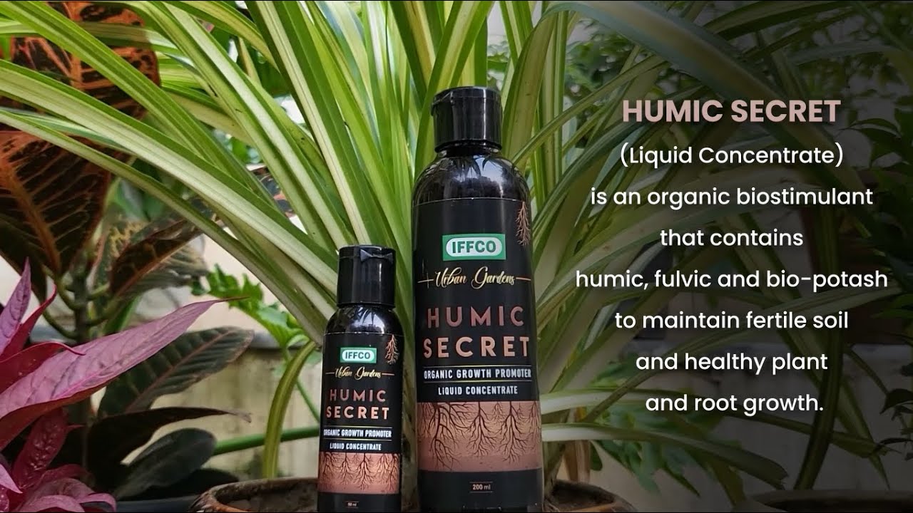 Introducing Humic Secret (Liquid Concentrate) for Fertile Soil and ...