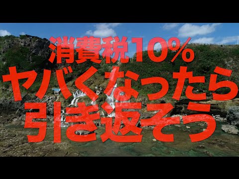 消費税10％引き返す勇気を持と〜【せやろがいおじさん】グッとラック!OA動画