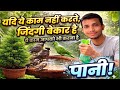 चिड़िया और पौधों के लिए पानी का सही इंतजाम |. Ye sabhi ko karna chahiye