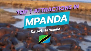 Top 1 Attraction In Mpanda, Katavi Katavi National Park Tanzania Safari