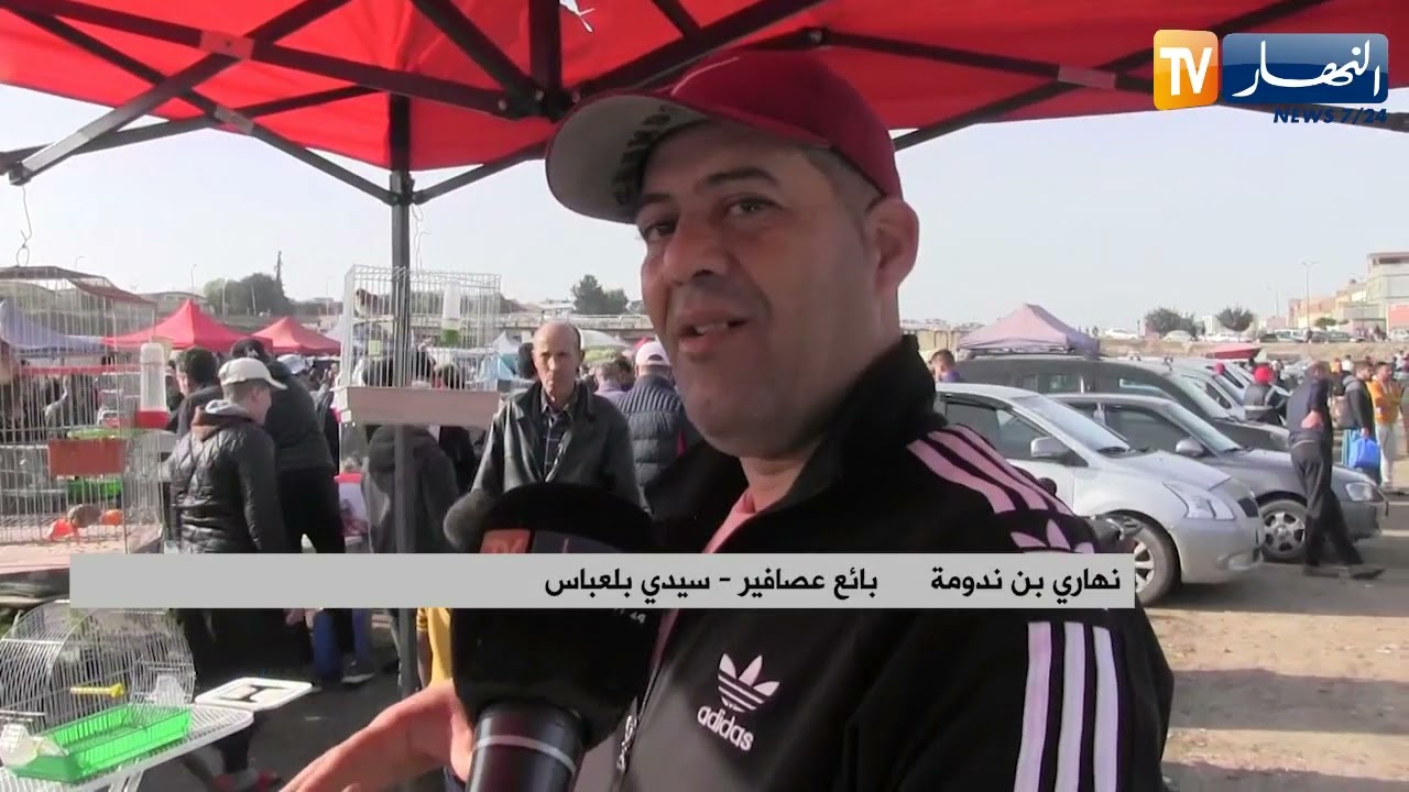 سيدي بلعباس: سوق الطيور.. عصافير بـ20 مليون وأخرى مهددة بالإنقراض