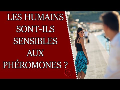 Vidéo: Pourquoi les phéromones sont-elles importantes ?