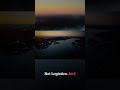 Hope vs. Logistics: Why Florida Settlements Failed