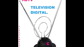 ¿Pueden los conejos ver la televisión?