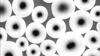 The First Surrealist Films
