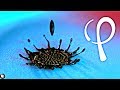 SLOW MOTION SCIENCE!  Ferrofluid dropping on magnet