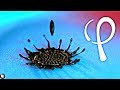 Physics Girl: Ferrofluid and Tidal Forces Quiz