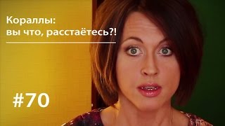 Как Жара Убивает Отношения // Всё Как У Зверей #70