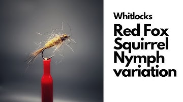 Red Fox Squirrel Nymph (variation).. a Dave Whitlock pattern