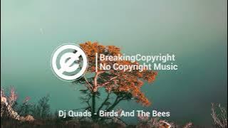 Non Copyrighted Music Dj Quads   Birds And The Bees Chill Hop