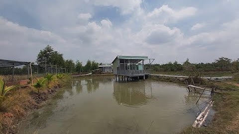 Nhà Vườn 1600m2 có sẵn hơn cả Tấn Cá, xã Phước Lại, Cần Giuộc - Long An