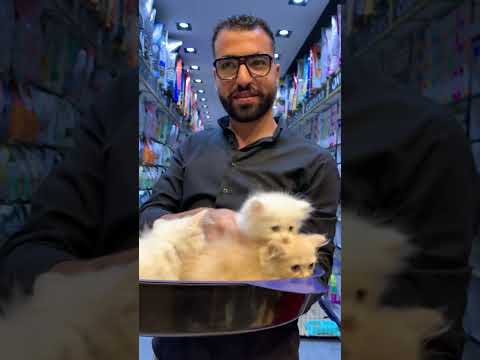 لو زعلوكي هزعل وهتغابه