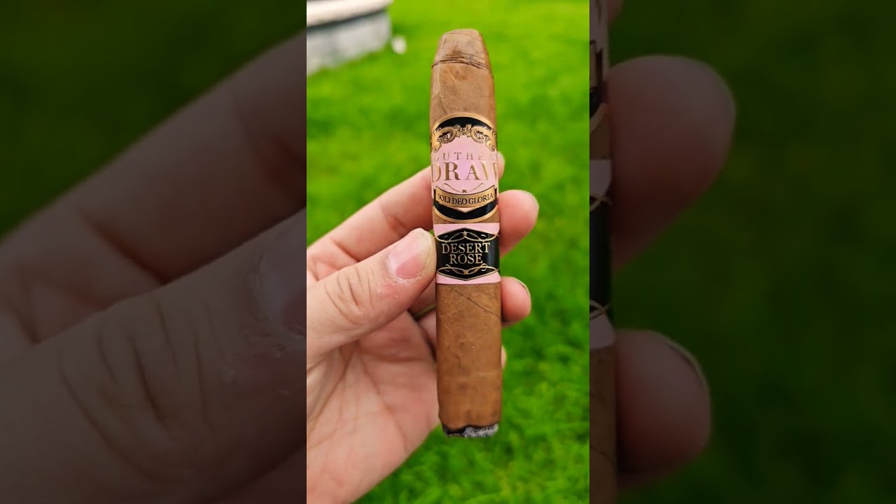 Desert Rose of SD 🔥. Reading a book on Sunday morning 🤩🔥 What a blessing 💙 