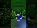 💖🖤🍃En manasulaPaatu thaan irukudhu💕💕💫#trending #viral #love #@sivaranjani editz