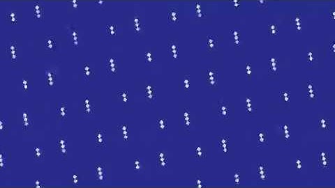 The Moiré pattern in minecraft.