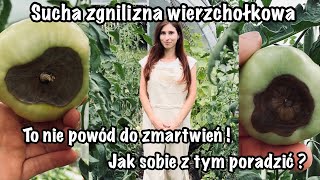 Sucha zgnilizna wierzchołkowa pomidorów- to nie zaraza Jak sobie z nią poradzić