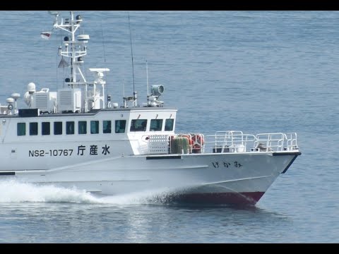 道光通寶 万送銭 母船 8,6g 30mm A381 楽天市場】1821年〜 道光通宝 中国古銭 渡来銭 清 穴銭 美品 1枚