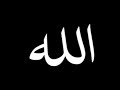 مجالس ذكر و ردوا على نهر الحياة وكلهم شربوا