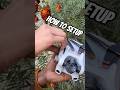 Folding Drone in Seconds – Travel Friendly || DJI Mini 3 || Drone shorts #djimini3 #djidrone #dji
