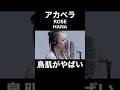 アカペラのHANA／ROSEに鳥肌がやばい…！！【THE FIRST TAKE】
