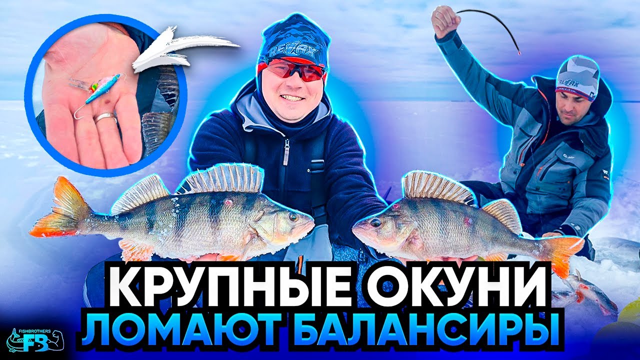 ТОЛСТЫЕ ОКУНИ на БАЛАНСИР! Пробуем разбираться в ловле полосатых ...