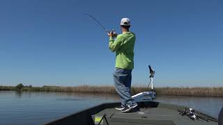 How To Fish A Swimbait