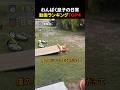 わんぱく息子の日常