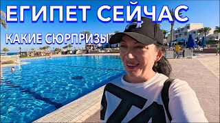 видео: Египет 2024. КУДА я ПОПАЛА⁉️Mercury Hotel 4*. ПЕРВАЯ ЛИНИЯ с Ultra. Сервис Территория Номер. Хургада картинка: Египет 2024. КУДА я ПОПАЛА⁉️Mercury Hotel 4*. ПЕРВАЯ ЛИНИЯ с Ultra. Сервис Территория Номер. Хургада