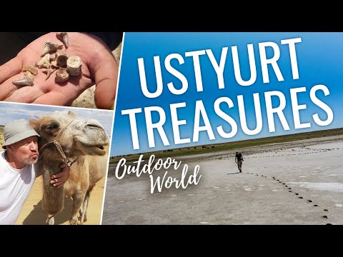 Video: Ustyurt Nature Reserve, Kazakhstan: description, objects of protection of flora and fauna, photo