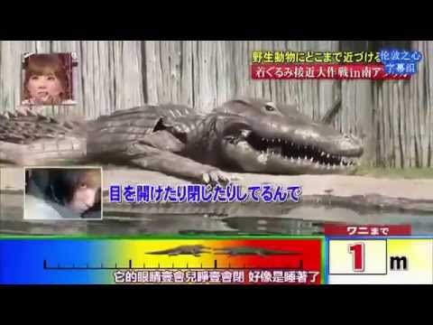 japan-tv-dress-like-a-crocs
