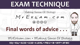 Exam technique - Mr Exham