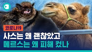 해피엔딩 사스, 헬피엔딩 메르스 뭐가 달랐던 걸까?? / 비디오머그