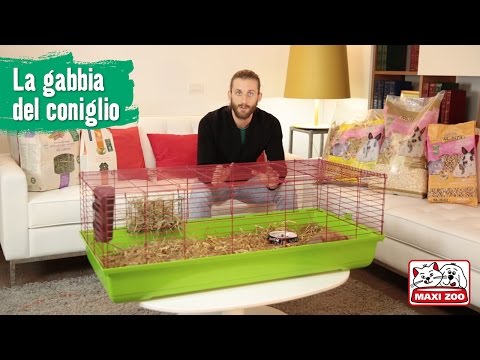 Video: Come Allestire Una Gabbia Per Conigli?