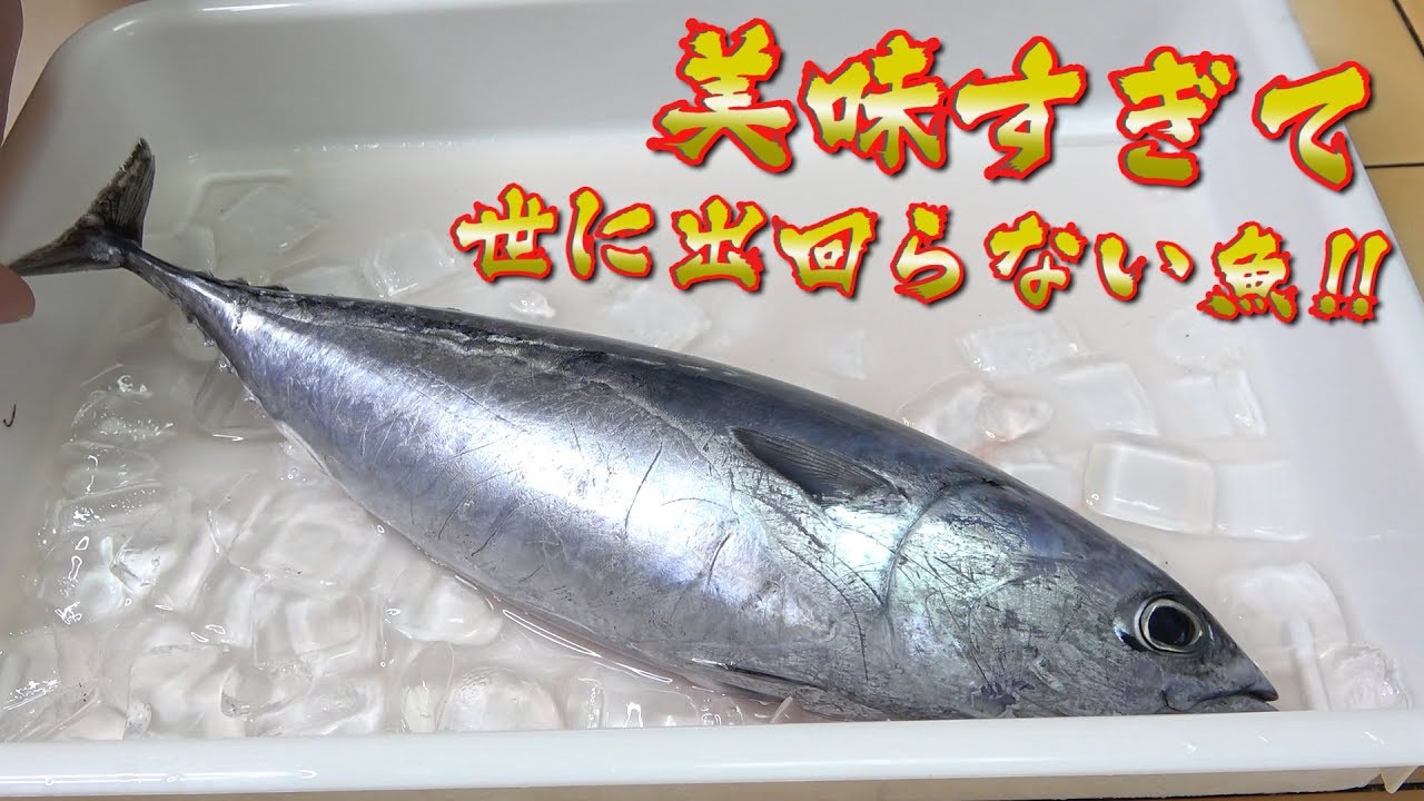 な 年齢 変 魚 おじさん