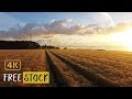 Drone flight over a wheat field at sunrise 4k  free drone footage