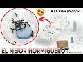 Vidéo: Kit Acrylique de 10x20x1,3 Champignon (Avec Messor barbarus)