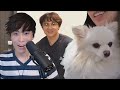 Lilypichu surprises Michaels stream | Sykkuno sees a chicken bomb | Scarra shoots DisguisedToast