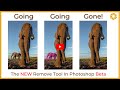 The NEW Photoshop Removal Tool - Wildlife Photography Gamechanger?