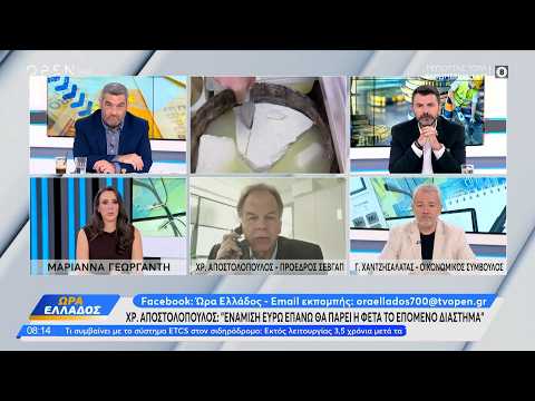 Φέτα: Η τιμή αναμένεται να φτάσει τα 16 ευρώ το κιλό – «Καμπανάκι» για τα αποθέματα