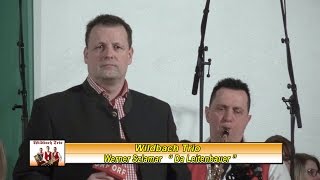 Video thumbnail of ""Wildbach Trio" mit dem Titel "Da Leitenbauer""