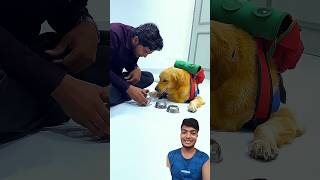 आखिर पता कैसे चला मेरे डॉगी को 😆🤯 #bts #funnydogs #shorts