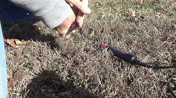 Minelab Etrac and Fisher CZ3D at a local park