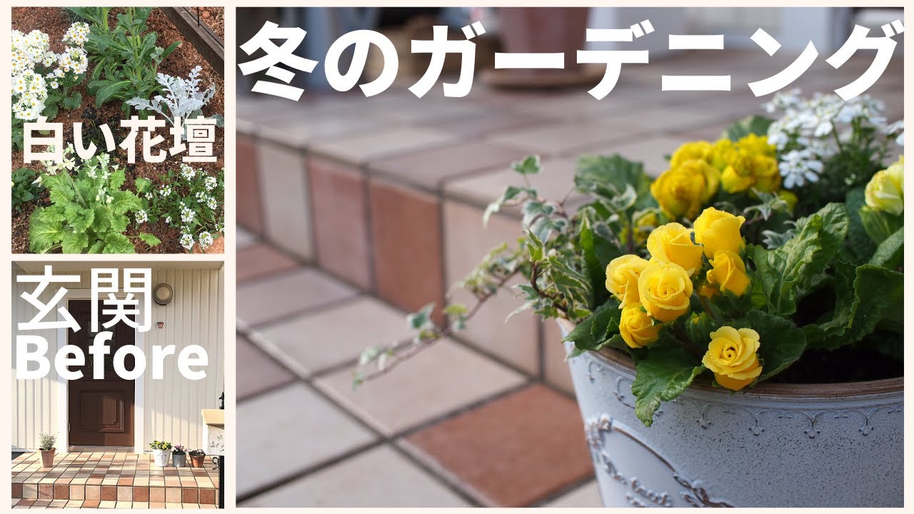 ガーデニング 玄関前を華やかに見せる簡単な明るい花の寄せ植え Youtube