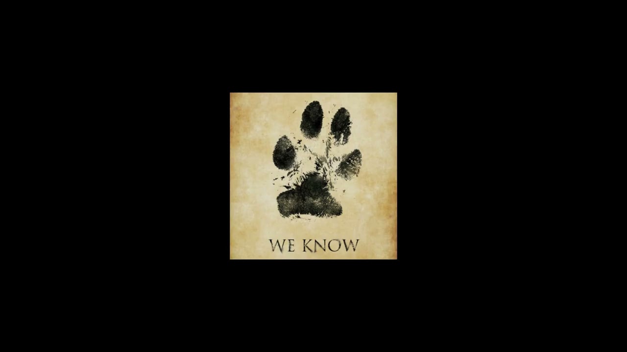 Black Paw Leaks - Asher's Mission Critical Reddit Posting
