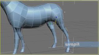 Wrapit Quick Horse Retopology