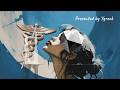 Perfect Nose Symmetry &amp; Optimization (Energetically/Morphic Programmed Audio)