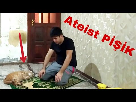 NAMAZ QILANDA AYAĞIMI DİŞLƏDİ / DİN DÜŞMƏNİ PİŞİK ♥