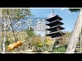【京都 観光】ひとり旅・１日で京都旅行  前編　嵐山スポット/グルメ/ラーメン
