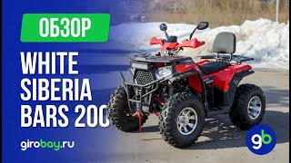 White Siberia BARS 200СС - так ли хорош бензиновый квадроцикл?