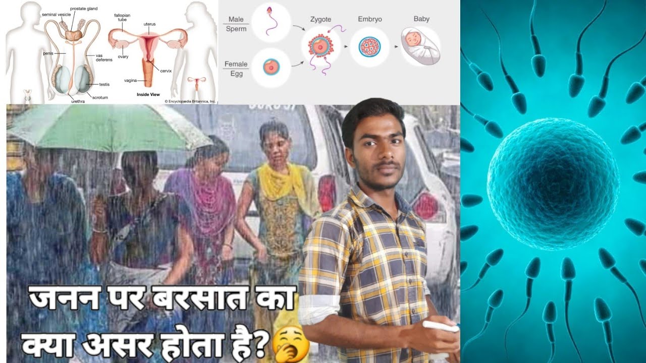 how-does-the-rainy-season-affect